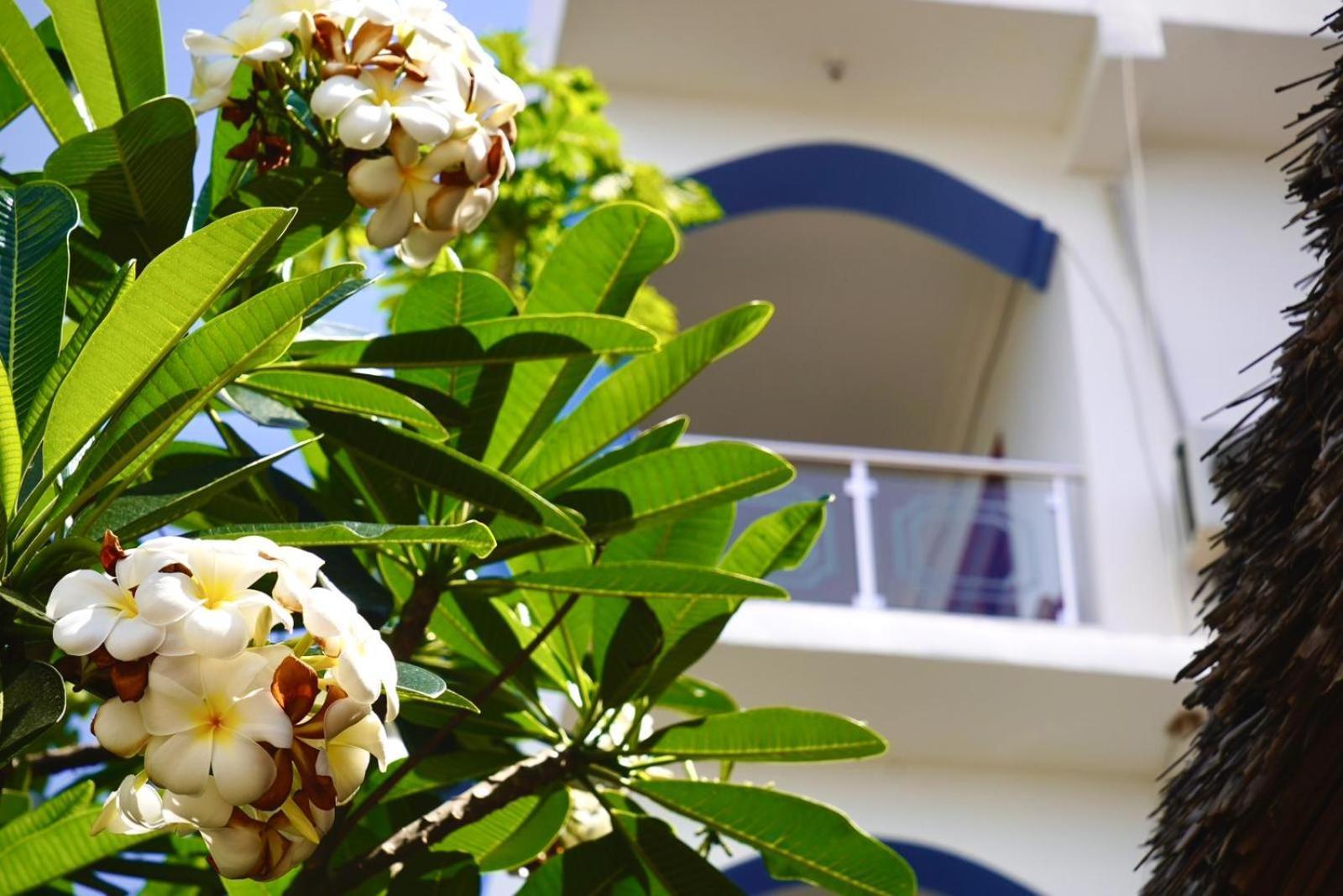 Daeli Apartment Kendwa Bagian luar foto